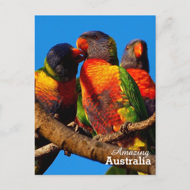 Phantastisches Australien Postkarte (Vorderseite)