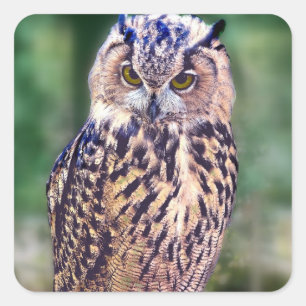 Phantastisches Ei Quadratischer Aufkleber