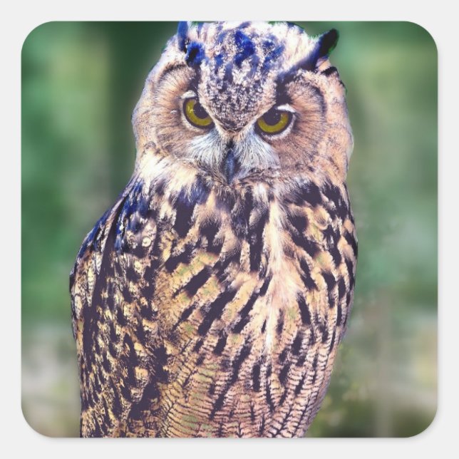 Phantastisches Ei Quadratischer Aufkleber (Vorderseite)