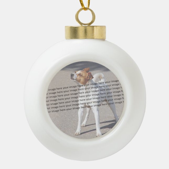 Phantastisches Foto für Hunde Katzenvogel Keramik Kugel-Ornament (Vorderseite)