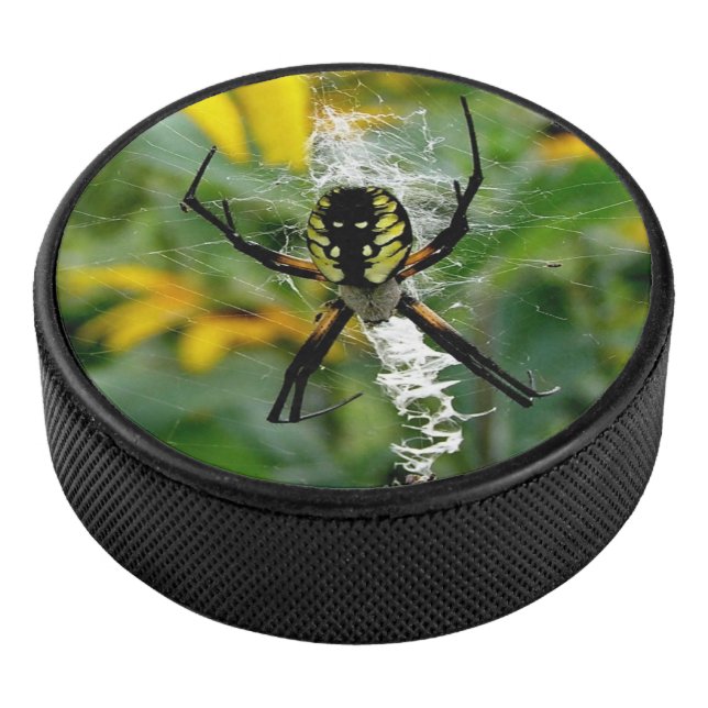 Phantastisches Foto Orb Spider im Web Eishockey Puck (3/4)