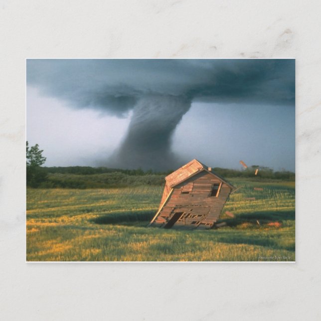 Phantastisches Spektakel Postkarte (Vorderseite)