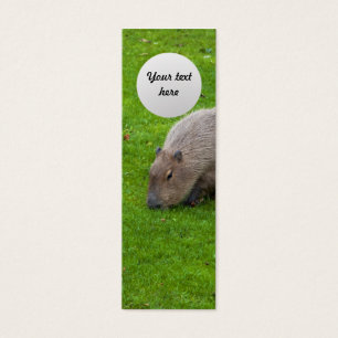 Phantastisches Tier Capybara