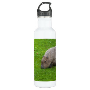 Phantastisches Tier Capybara Edelstahlflasche