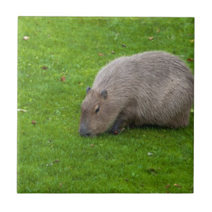Phantastisches Tier Capybara Fliese