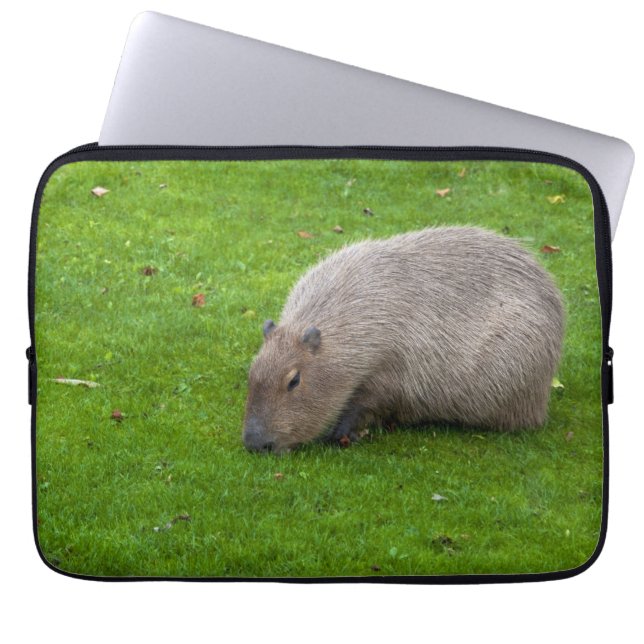 Phantastisches Tier Capybara Laptopschutzhülle (Vorderseite)