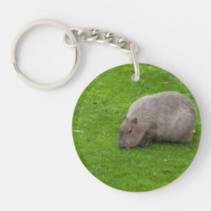 Phantastisches Tier Capybara Schlüsselanhänger
