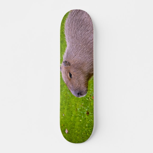 Phantastisches Tier Capybara Skateboard (Vorne)