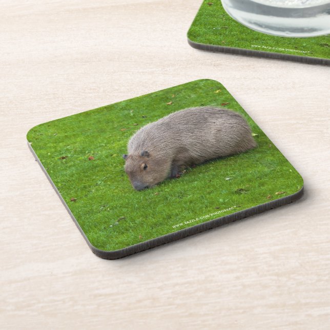 Phantastisches Tier Capybara Untersetzer (Linke Seite)