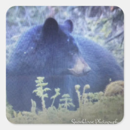 Phantom Der schwarze Bär Quadratischer Aufkleber