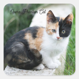 Phantom Opera Cat Quadratischer Aufkleber