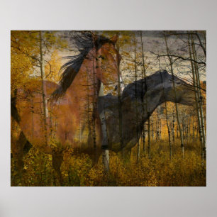 Phantomwaldung Poster