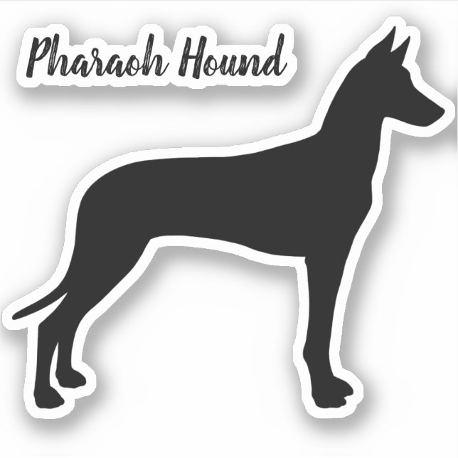 Pharaoh Hound Hund Silhouette Vinyl Sticker (Vorderseite)