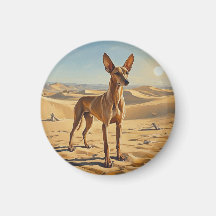 Pharaoh Hound