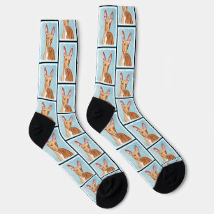 Pharaoh Hound Malerei Kastanien Original Hunde Kun Socken