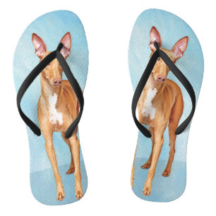 Pharaoh Hound Painting - Niedliche Original Hunde  Flip Flops