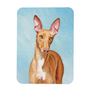 Pharaoh Hound Painting - Niedliche Original Hunde Magnet