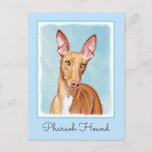 Pharaoh Hound Painting - Niedliche Original Hunde Postkarte