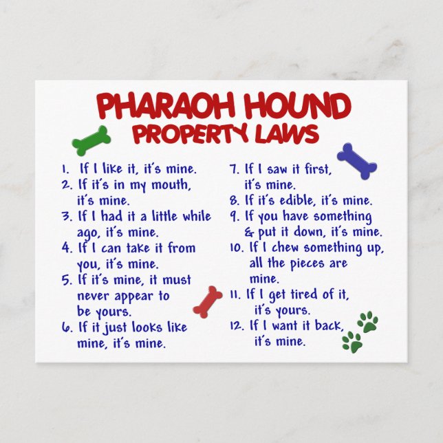 PHARAOH HOUND Property Laws 2 Postkarte (Vorderseite)