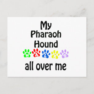 Pharaoh Hound Walks Design Postkarte