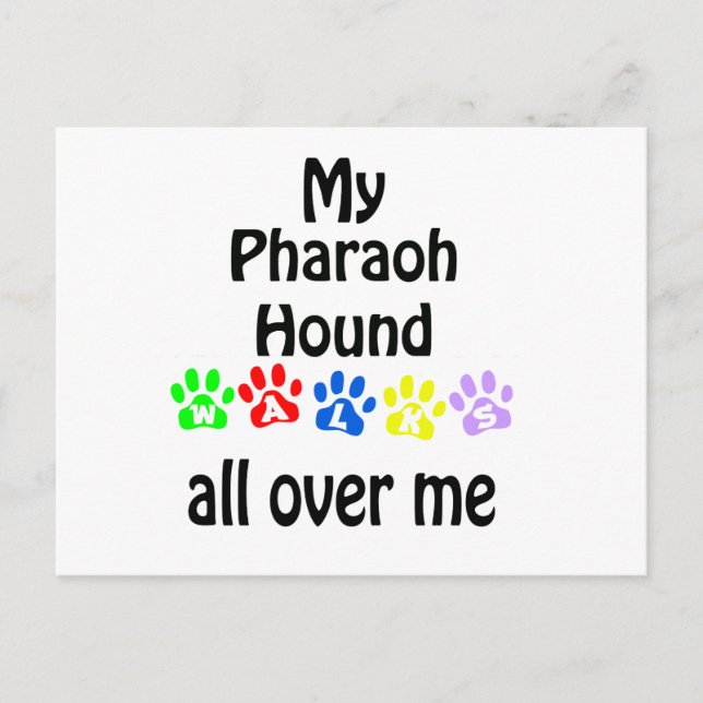 Pharaoh Hound Walks Design Postkarte (Vorderseite)