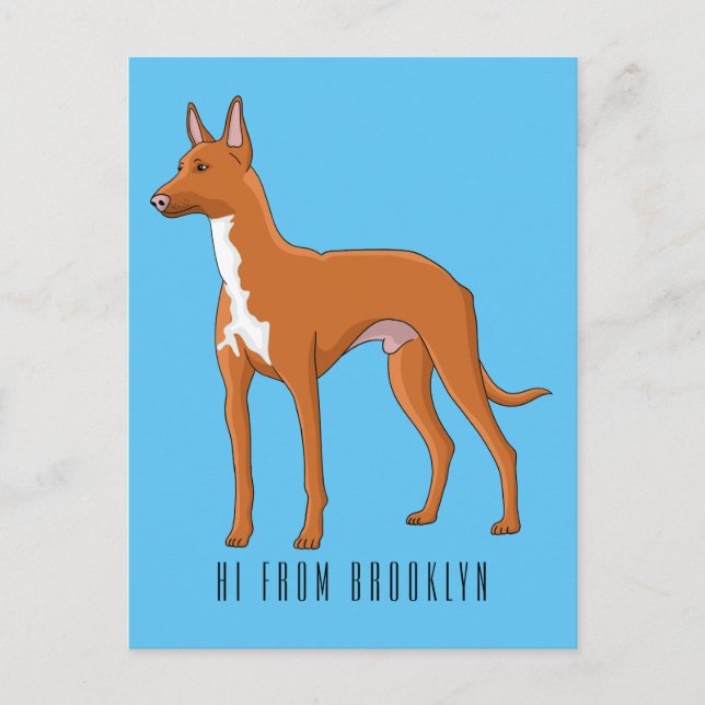 Pharaoh-Hund-Cartoon Postkarte (Vorderseite)