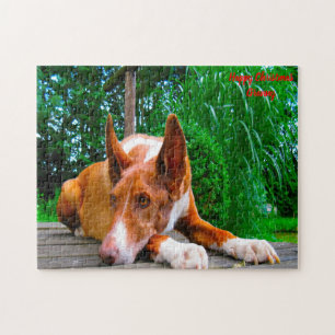 Pharaonenhund. Puzzle
