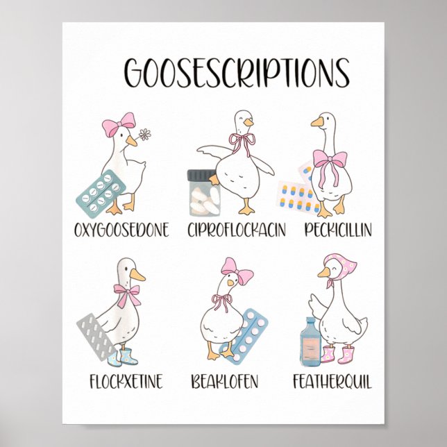 Pharmacy Funny Goose Silly Prescriptions Puns Medi Poster (Vorne)