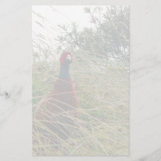 Pheantastic Briefpapier