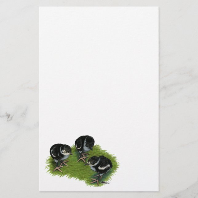 Pheasant (Vorderseite)