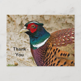 Pheasant 3 Danke, Postcard Postkarte