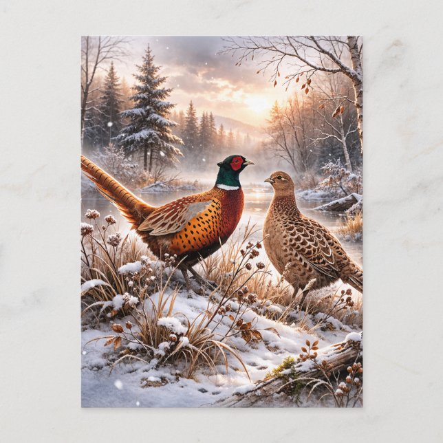 Pheasant  ankündigungspostkarte (Vorderseite)