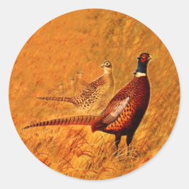 Pheasant Bird Nature Wildlife Stickers