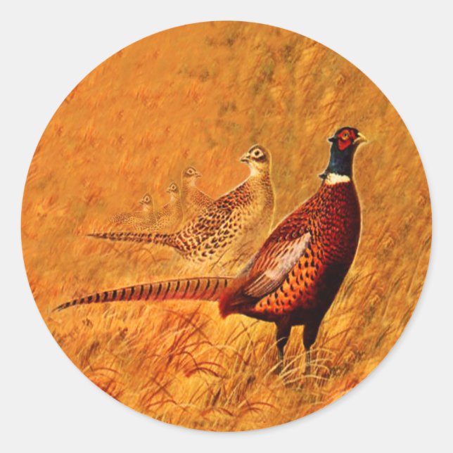 Pheasant Bird Nature Wildlife Stickers (Vorderseite)