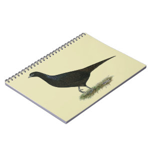 Pheasant Black Hen Notizblock