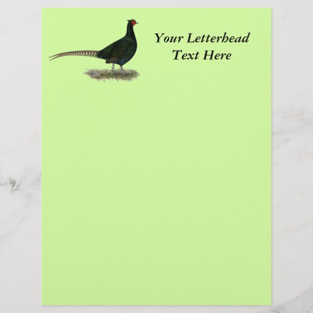 Pheasant Black Rooster (Vorderseite)