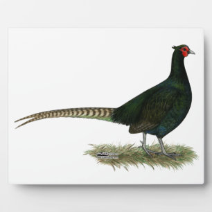 Pheasant Black Rooster Fotoplatte