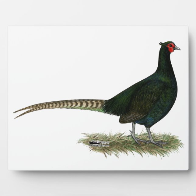 Pheasant Black Rooster Fotoplatte (Vorderseite)