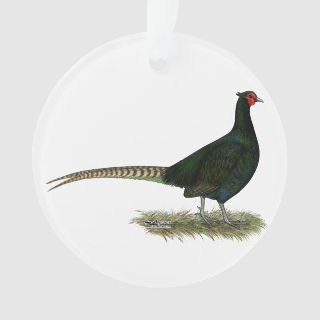 Pheasant Black Rooster Ornament (Vorderseite)