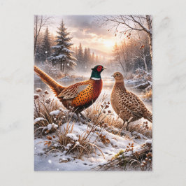 Pheasant einladungspostkarte