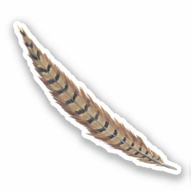 Pheasant Feather Vinyl Sticker (Vorderseite)