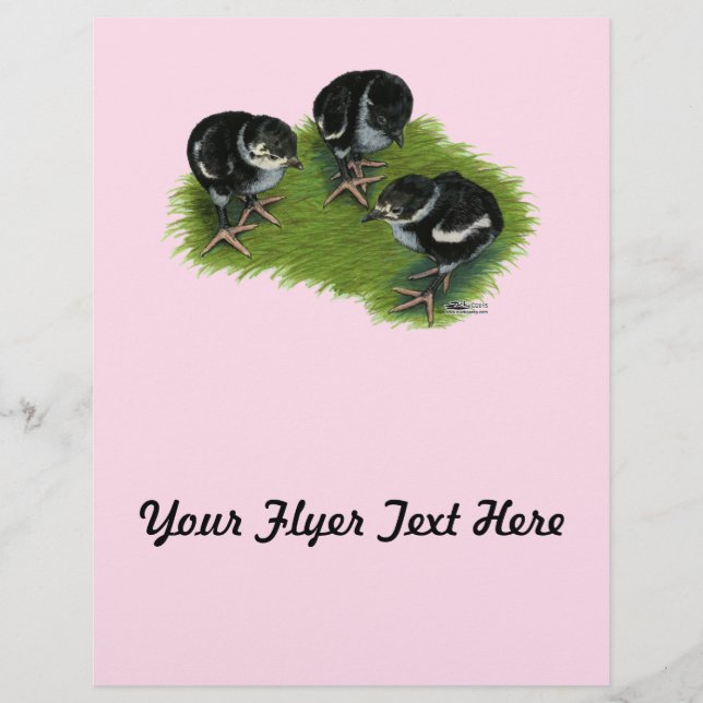 Pheasant Flyer (Vorne)