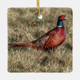 Pheasant-Foto Keramikornament