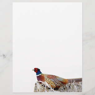 Pheasant-Foto-Papier mit Ringhals Briefbogen