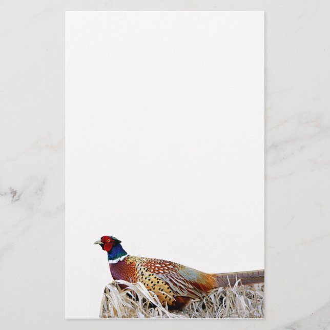 Pheasant-Foto-Papier mit Ringhals Briefpapier (Vorderseite)