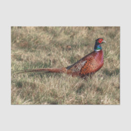 Pheasant-Foto Seidenpapier