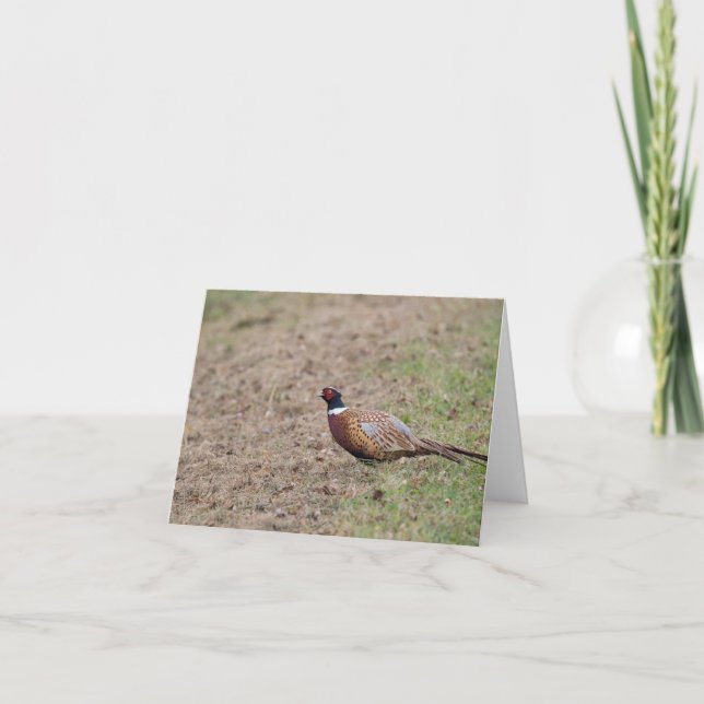 Pheasant-Karte Dankeskarte (Vorderseite)