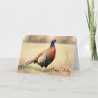 Pheasant Portrait zum Geburtstag