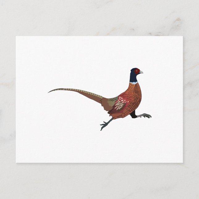 PHEASANT POSTKARTE (Vorderseite)