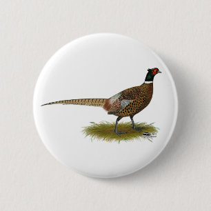 Pheasant Rooster Button